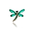 Obrazek Broszka BR98017