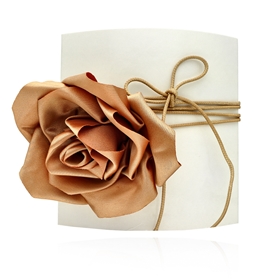 Изображение Choker LA ROSA N97703