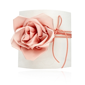 Изображение Choker LA ROSA N97705