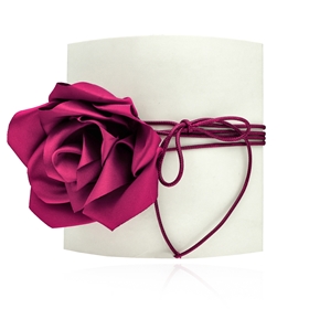 Изображение Choker LA ROSA N97707