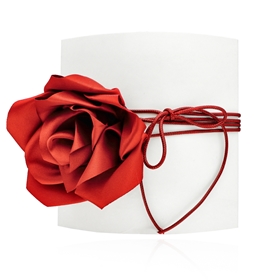 Изображение Choker LA ROSA N97708