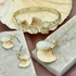 Picture of Kolczyki LIRIO E97611