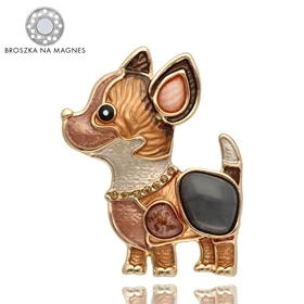 Obrazek Broszka na magnes BR97623