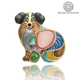 Obrazek Broszka na magnes BR97618