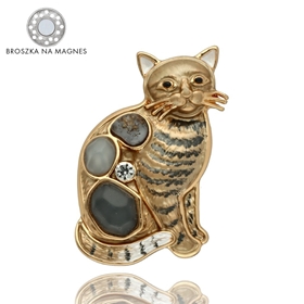 Obrazek Broszka na magnes BR97616