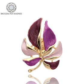 Obrázok pre výrobcu Broszka na magnes BR97354