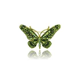 Obrazek Broszka BR97489