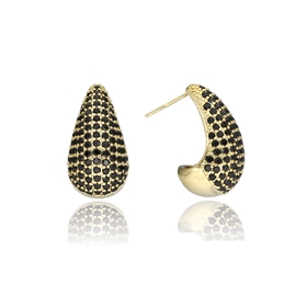 Picture of Kolczyki E97373