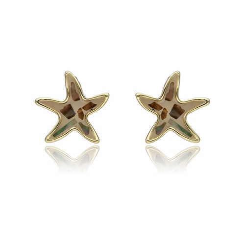 Obrazek Kolczyki OCEAN LIFE  E96303