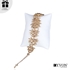 Image sur Bransoletka wieczorowa B03616