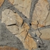 Picture of Naszyjnik Glamour N02105