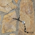 Image sur Naszyjnik GLAMOUR N02117