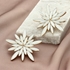 Picture of Kolczyki E97854