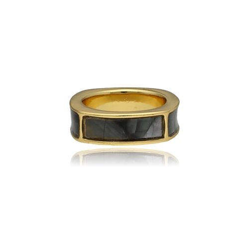 Изображение Pierścionek PALOMA R97441