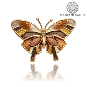 Picture of Broszka na magnes BR97214