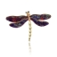 Obrazek Broszka BR96209