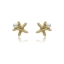 Obrazek Kolczyki OCEAN LIFE E96307