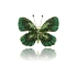 Picture of Broszka BR96318