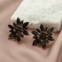 Picture of Kolczyki E97872