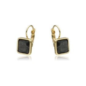 Picture of Kolczyki E96082